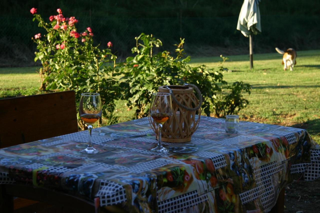 Villa Lilli 2 Ferrara Esterno foto